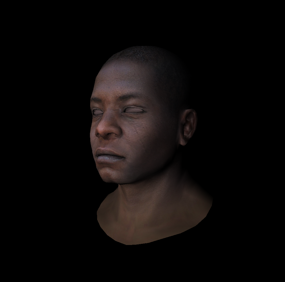 head_camera